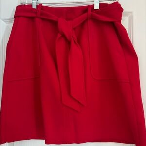 Perfect, fully lined size 10 mini skirt from The Loft. Never worn.